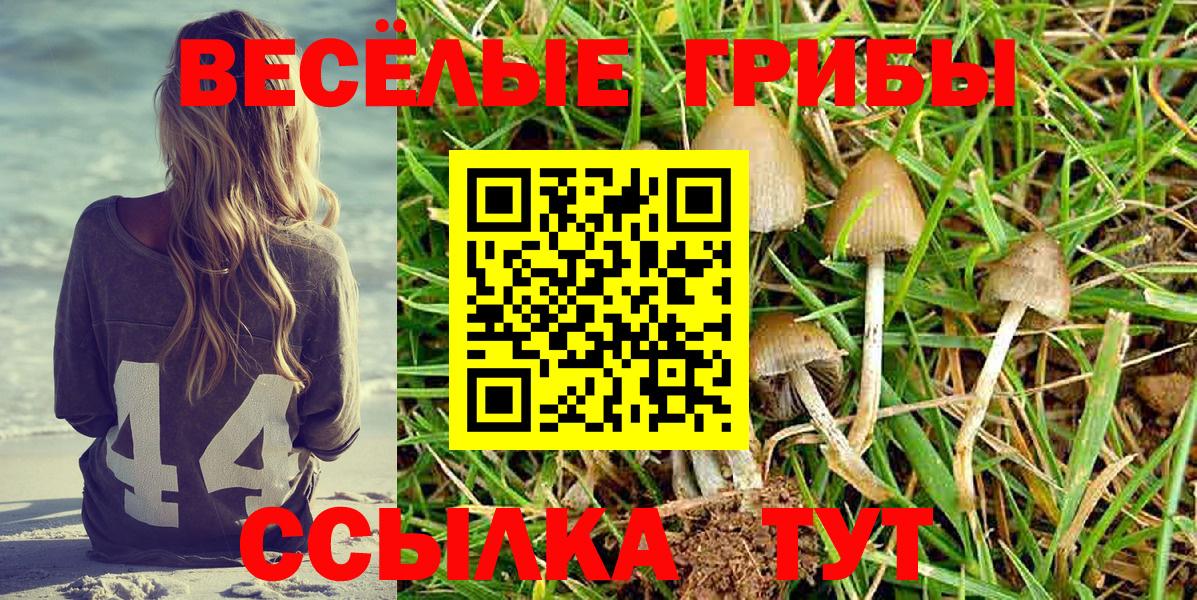 Псилоцибиновые грибы Magic Shrooms Урай